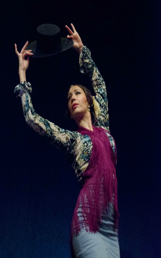 spectacle flamenco javea